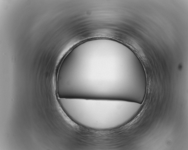 X0000091220796200708091136