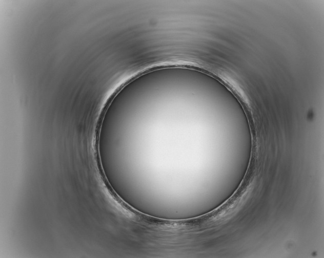 X0000091220797200708091136