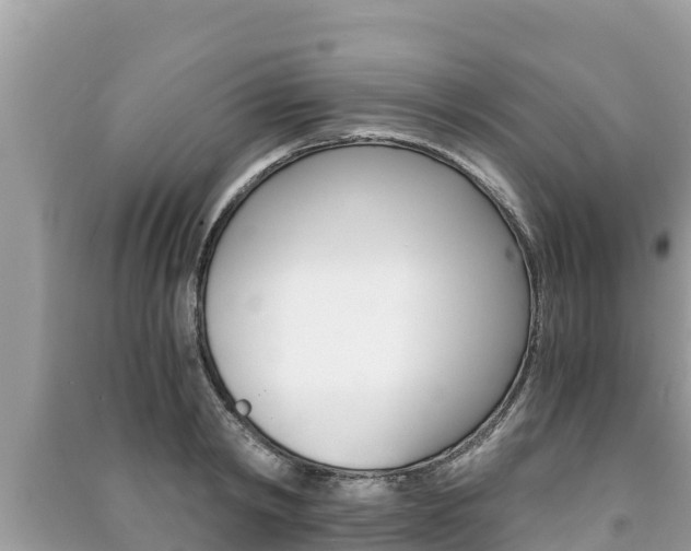 X0000091220798200708091136