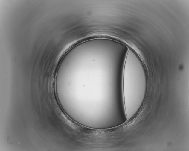 X0000091220799200708091136