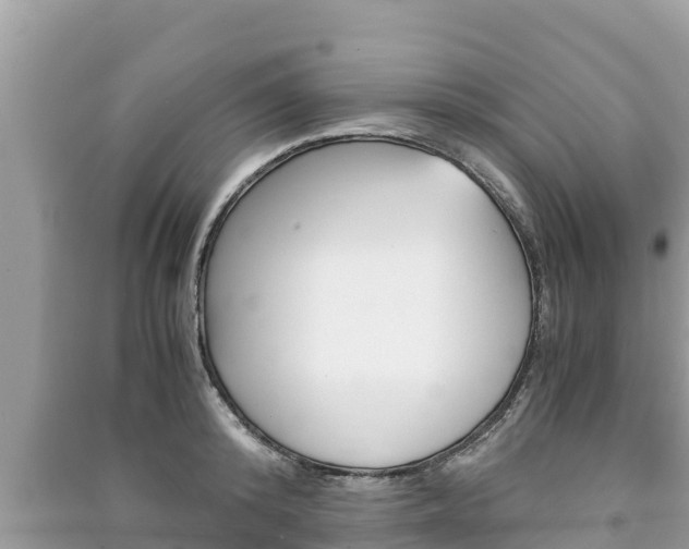 X0000091220800200708091136