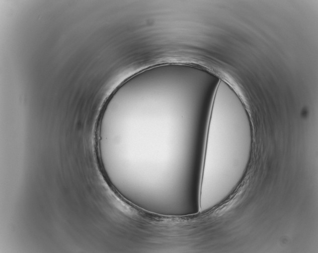 X0000091220803200708091136