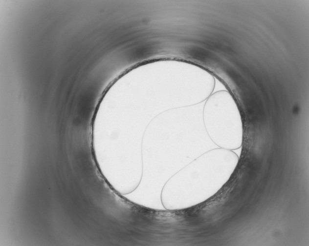 X0000091220807200708091135