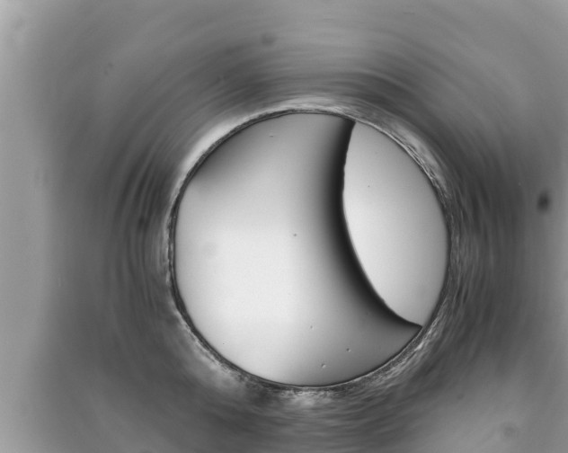 X0000091220808200708091135