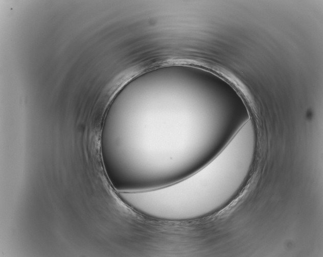 X0000091220809200708091135