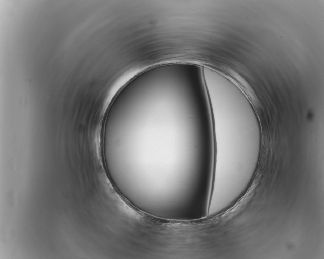 X0000091220812200708091135