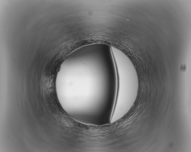 X0000091220818200708091135