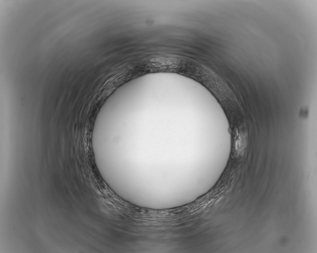 X0000091220819200708091135
