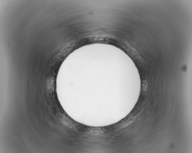 X0000091220820200708091135