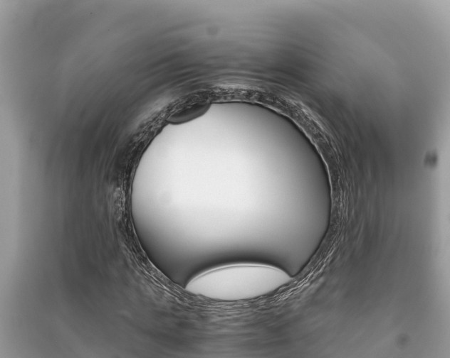 X0000091220821200708091135