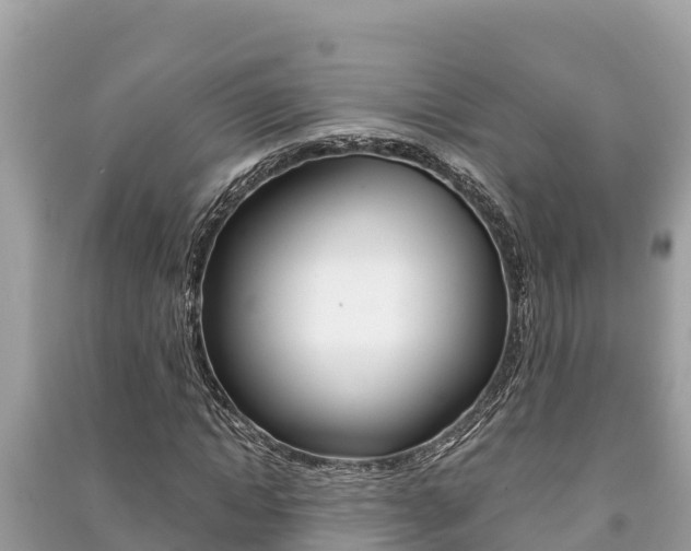 X0000091220822200708091135