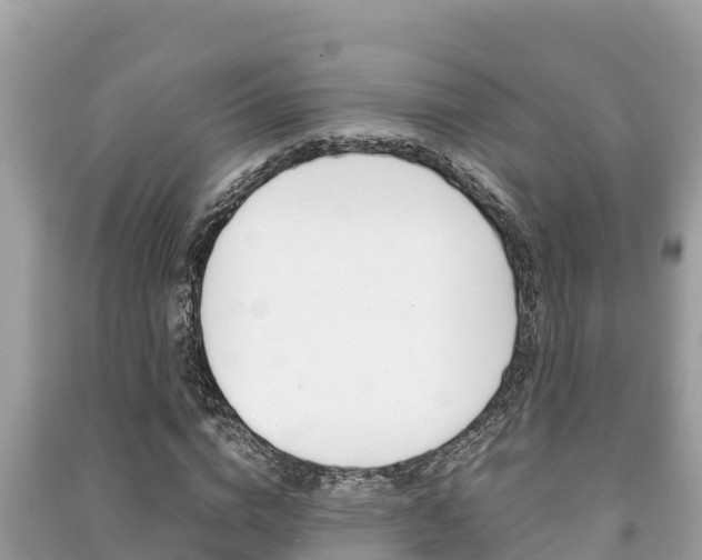 X0000091220824200708091135