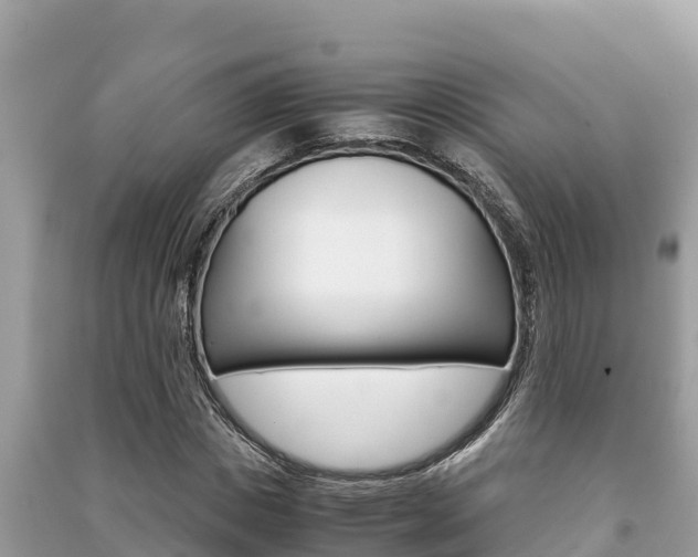 X0000091220825200708091135