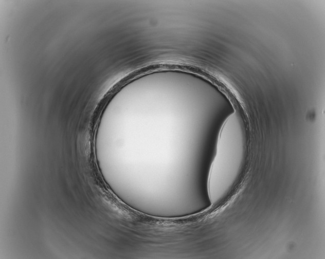 X0000091220829200708091135