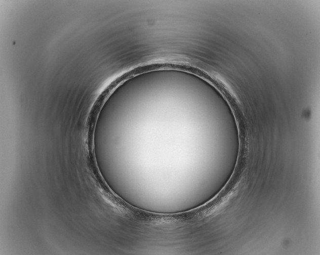 X0000091220830200708091135