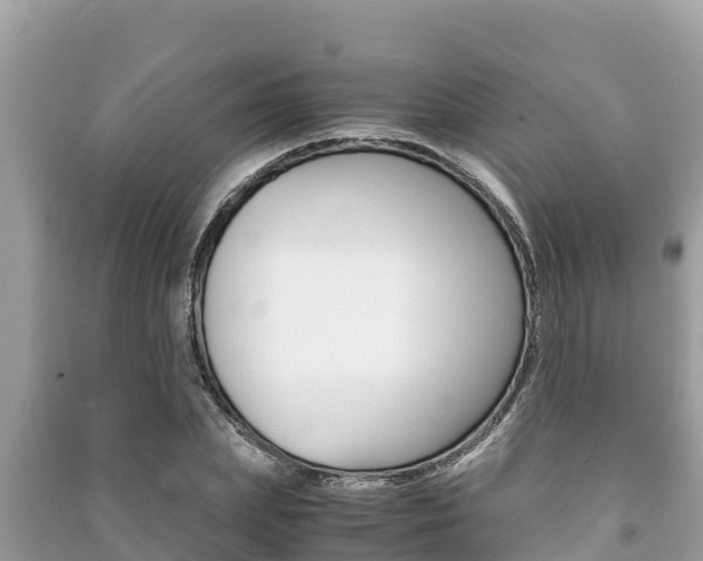X0000091220831200708091135