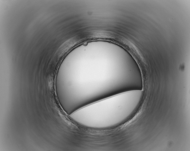 X0000091220833200708091135