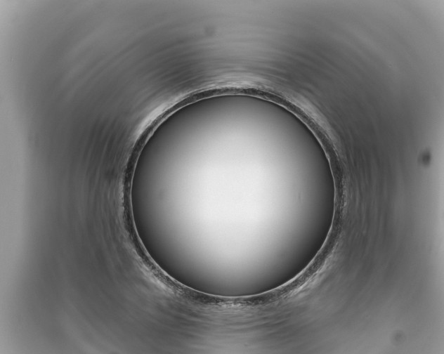X0000091220834200708091135