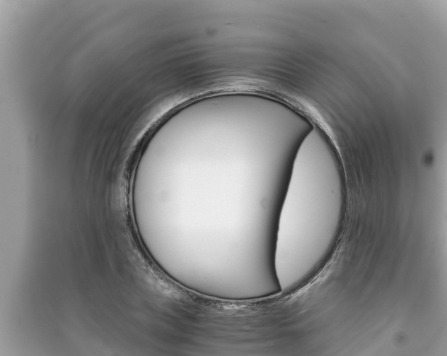 X0000091220835200708091135