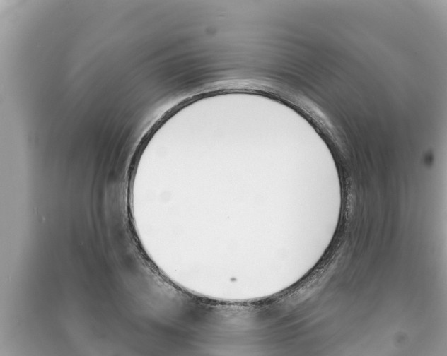 X0000091220836200708091135