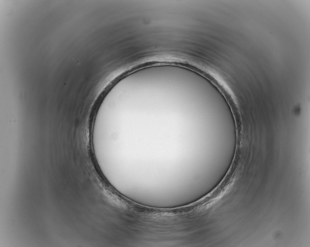 X0000091220837200708091135