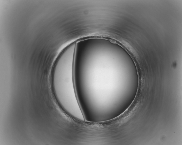 X0000091220838200708091135