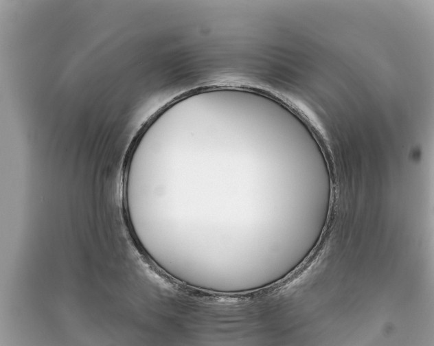 X0000091220839200708091135