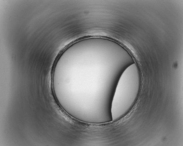 X0000091220840200708091135
