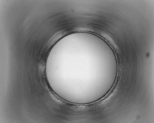 X0000091220841200708091135