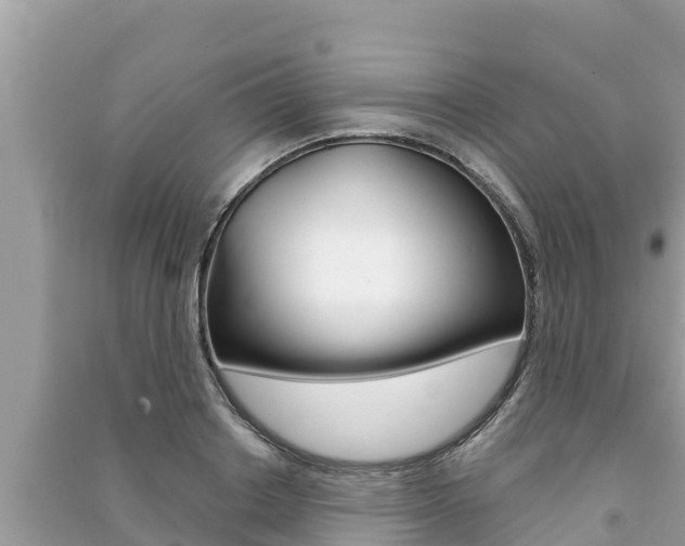 X0000091220842200708091135