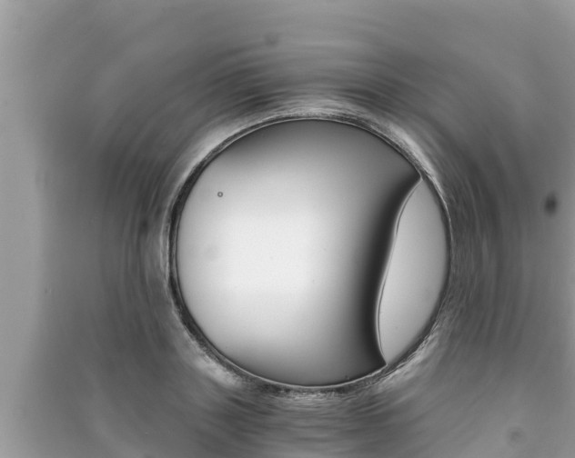 X0000091220843200708091135