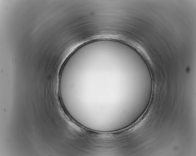 X0000091220844200708091135
