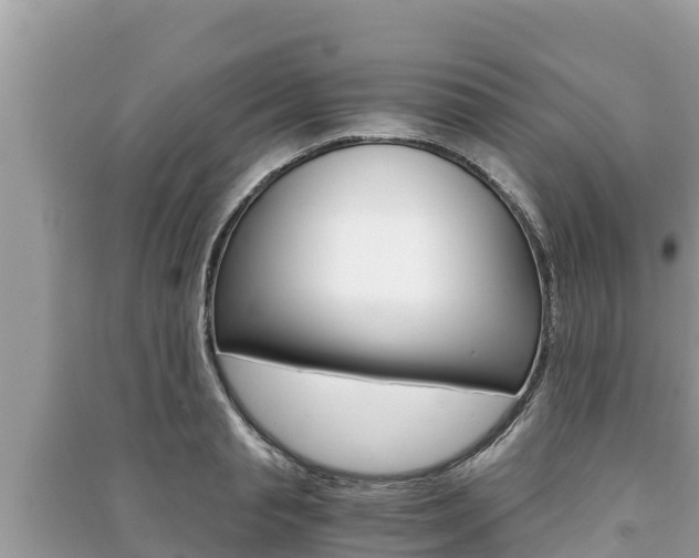 X0000091220845200708091135