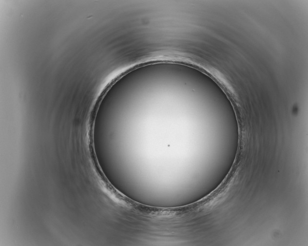 X0000091220846200708091135