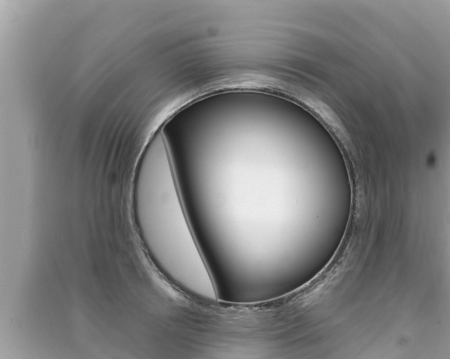 X0000091220850200708091135