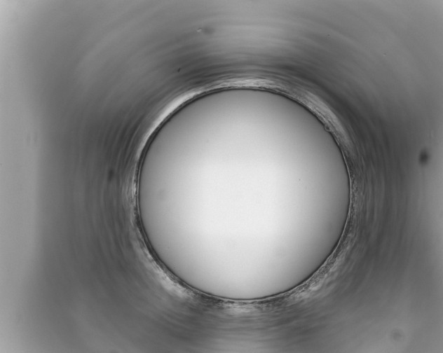 X0000091220852200708091135