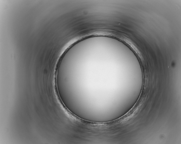 X0000091220853200708091135