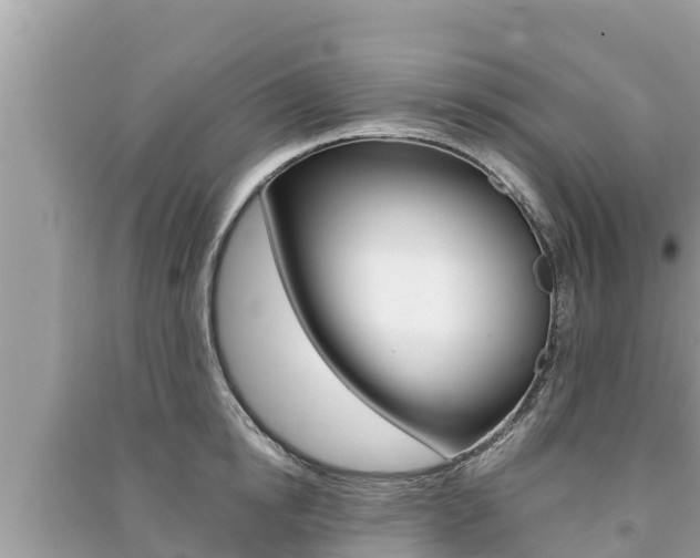 X0000091220854200708091135