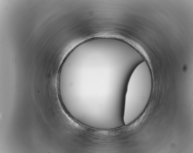 X0000091220855200708091135