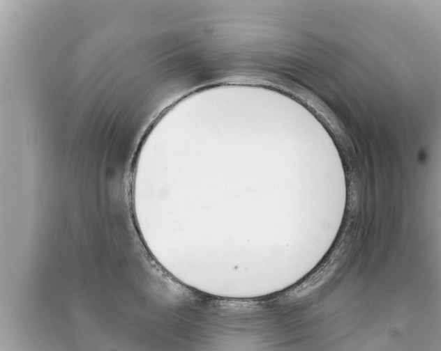 X0000091220856200708091135
