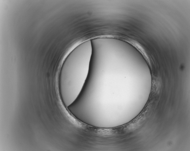 X0000091220859200708091135