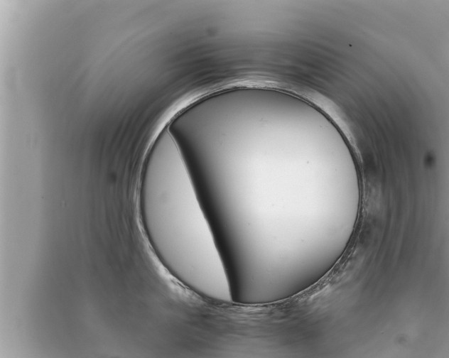 X0000091220861200708091135