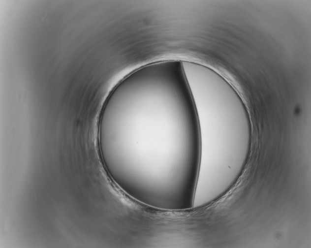 X0000091220862200708091135