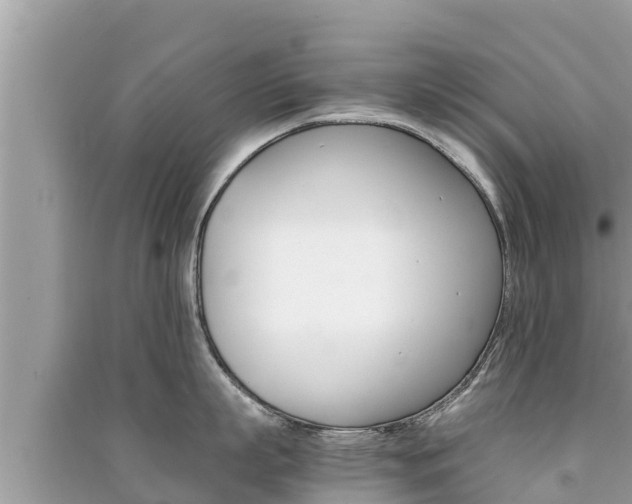 X0000091220863200708091135