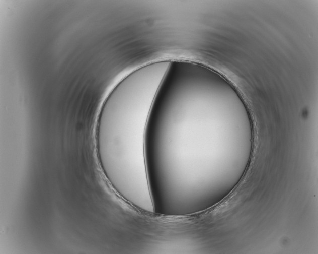 X0000091220864200708091135