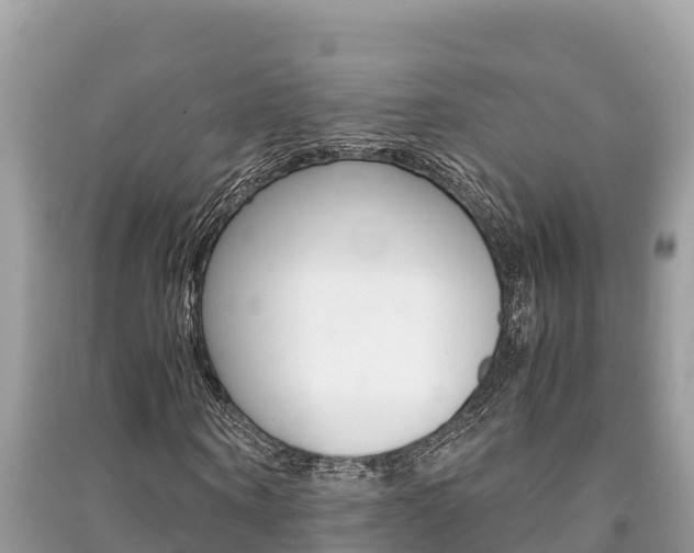 X0000091220866200708091135
