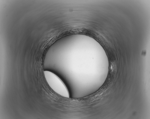 X0000091220867200708091135
