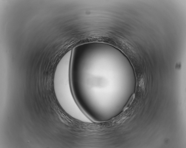 X0000091220868200708091135