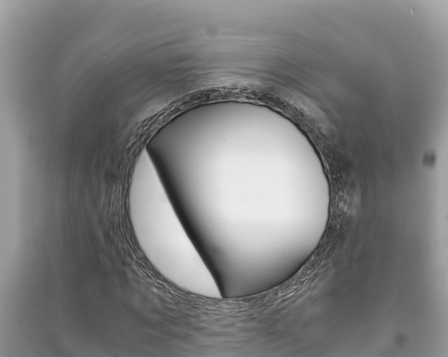 X0000091220869200708091135