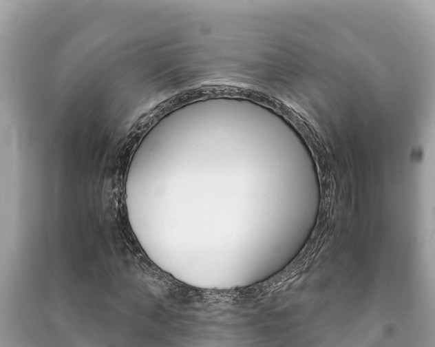 X0000091220870200708091135